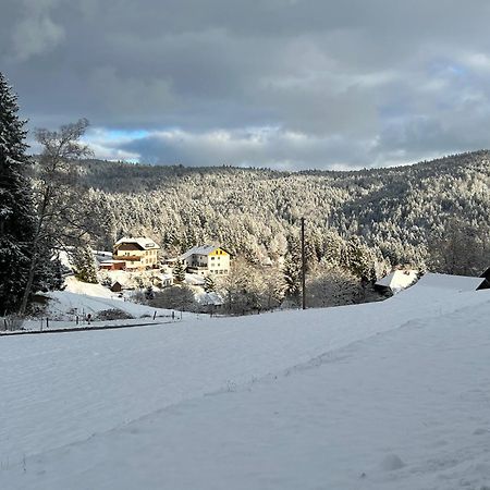 Boutique Hotel And Apartments Pension Sternen Тодтмос Экстерьер фото