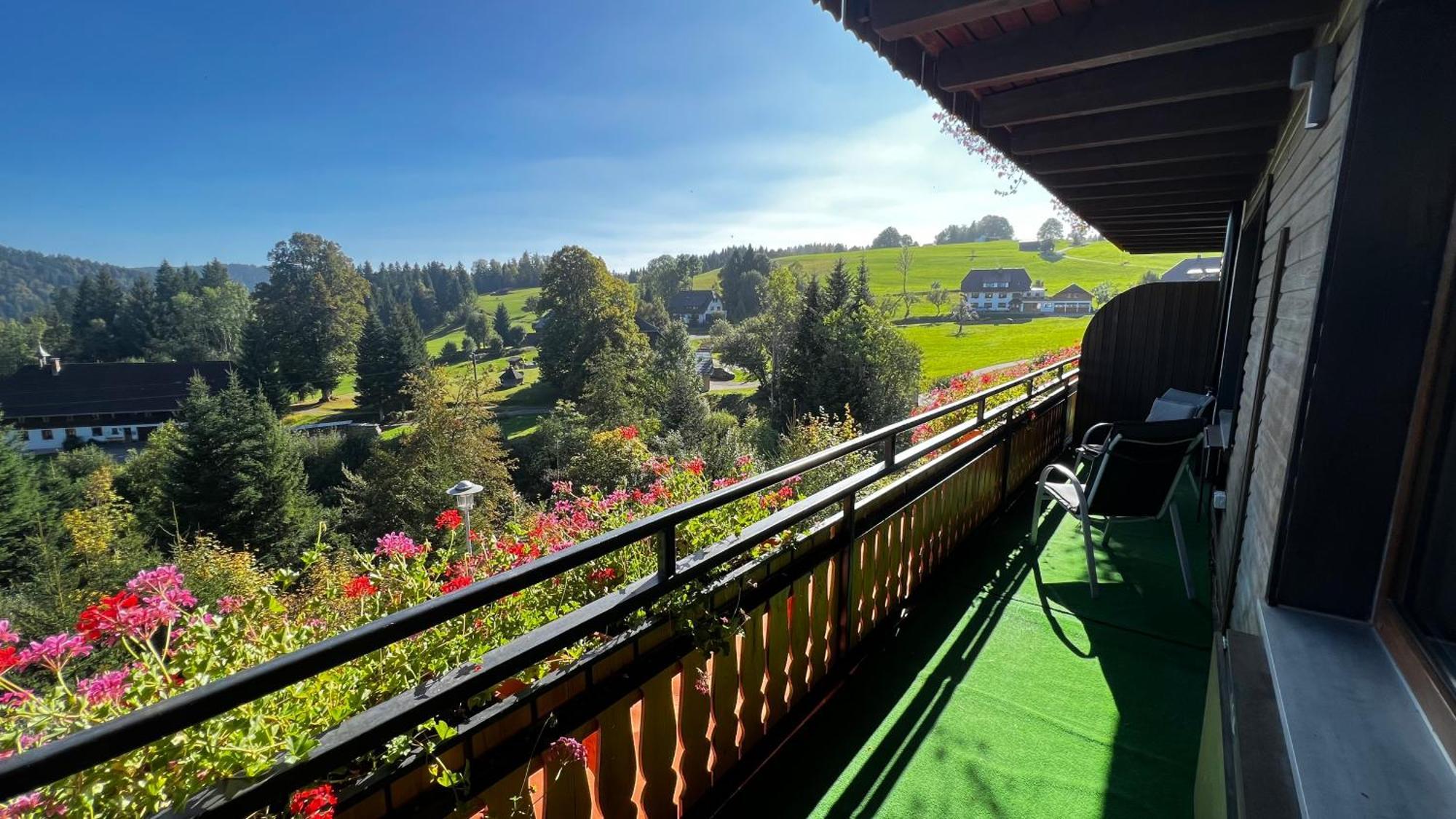 Boutique Hotel And Apartments Pension Sternen Тодтмос Экстерьер фото