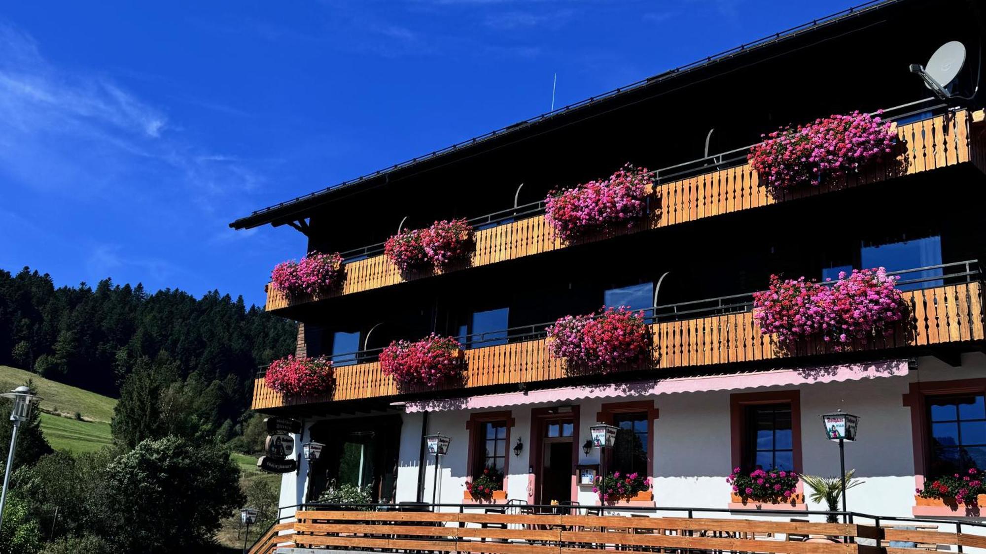 Boutique Hotel And Apartments Pension Sternen Тодтмос Экстерьер фото